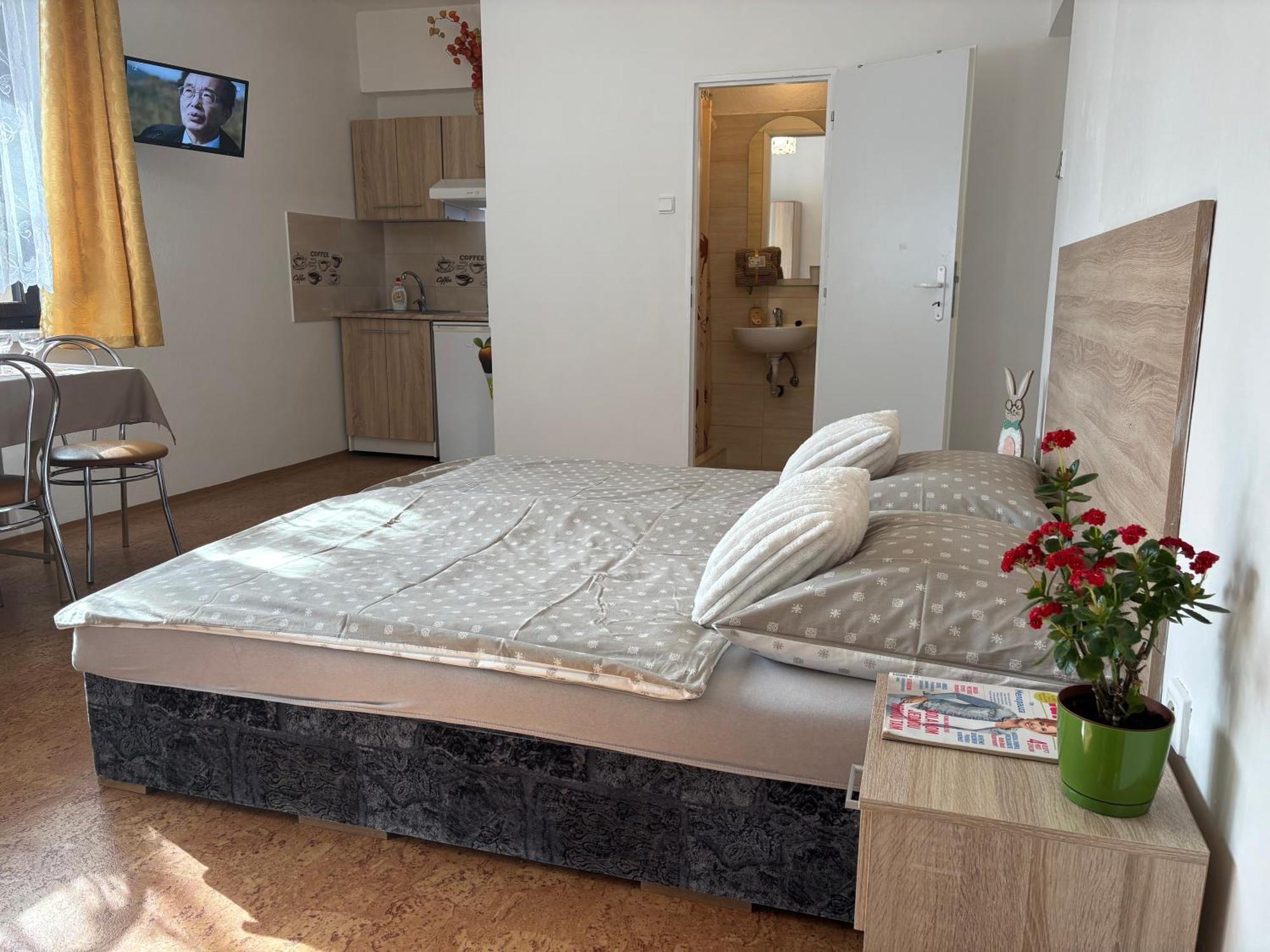 Apartmanovy Dom Grand Sturovo Luaran gambar
